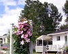 By d' Bay Cabins